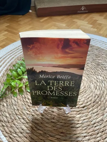 Livre - la terre des promesses