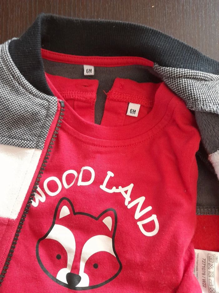 Ensemble 3 pièces 6 mois - photo numéro 4