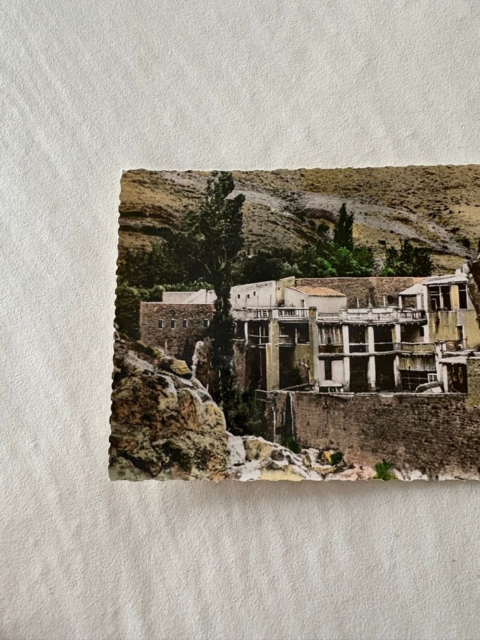 Carte postale vintage Alger - photo numéro 3