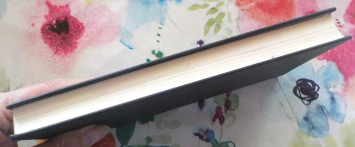 LA LUNE DANS LE CANIVEAU de David GOODIS Ed. France Loisirs - photo numéro 3