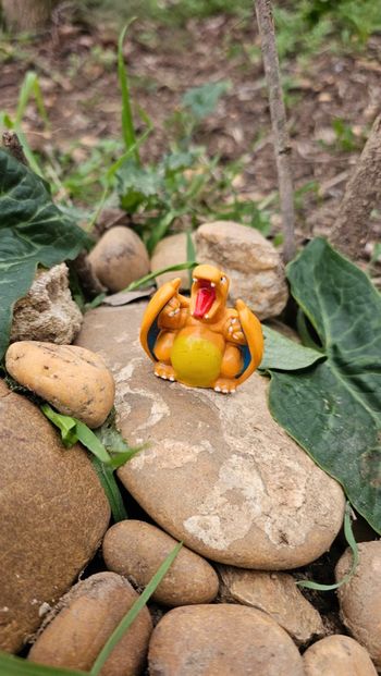 Super figurine Pokemon Nintendo bondai Dracaufeu