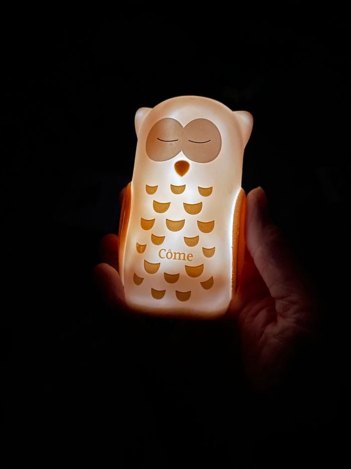 Veilleuse chouette Olala boutique - photo numéro 3