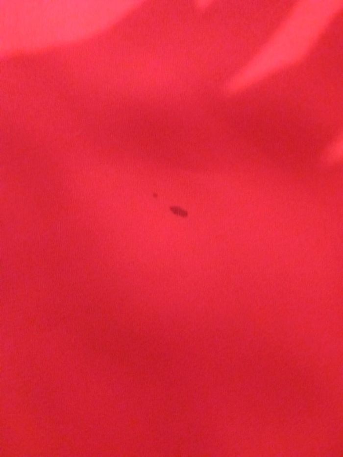 Tops épaules dénudées - photo numéro 2