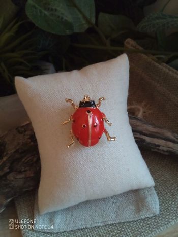 Broche coccinelles 🐞.