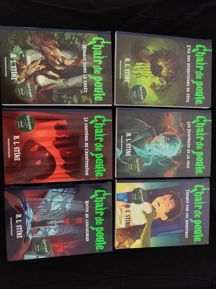 Chair de poule lot 6 livres tomes 19 20 21 22 23 24
