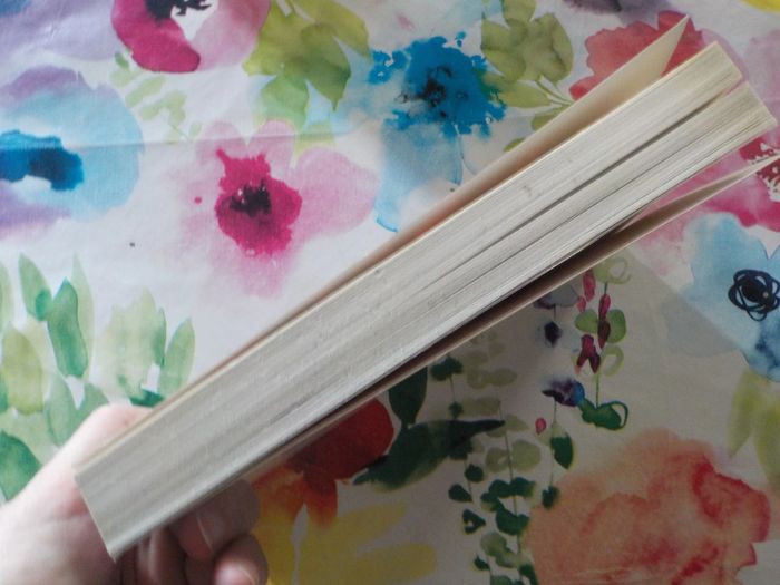 Le tueur est parmi nous de Laurence Oriol Ed. Albin Michel - photo numéro 4