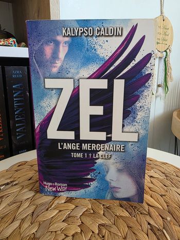 Livre Zel l'ange mercenaire de Kalypso Caldin