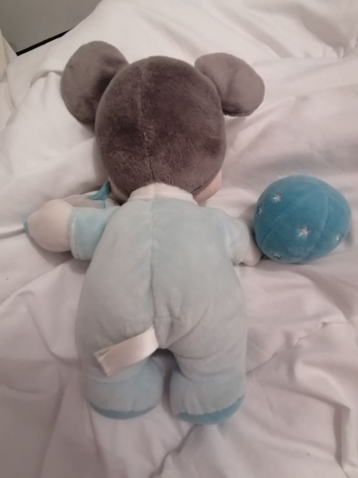 Mickey - photo numéro 2