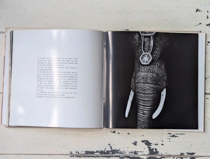 Quel Cirque ? - photo numéro 7