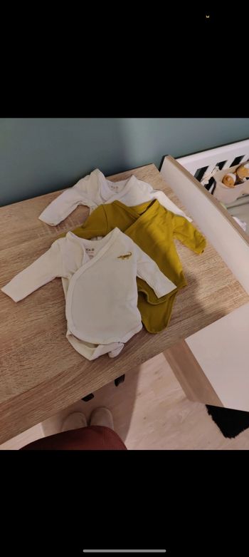 Lot 3 bodies