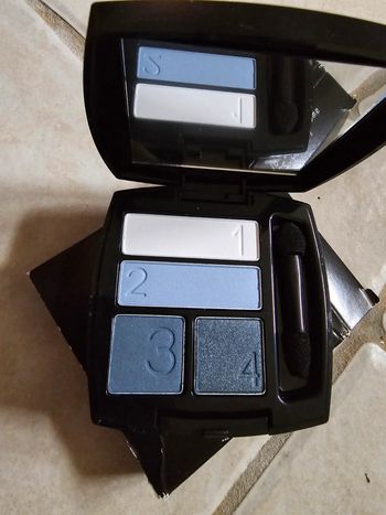 Palette ombres à paupières quatuor avon