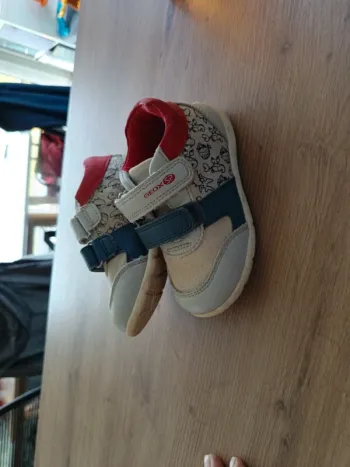 Baskets Geox