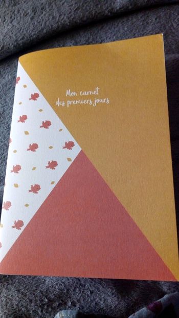 Mon carnet de notes des premiers jours