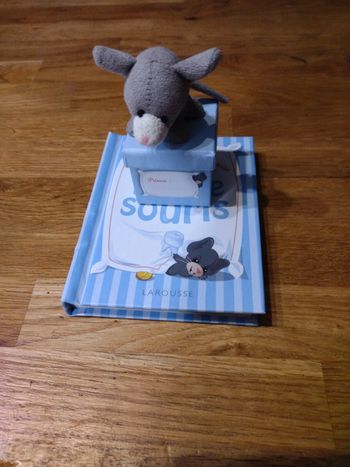 Boîte petite souris et son histoire