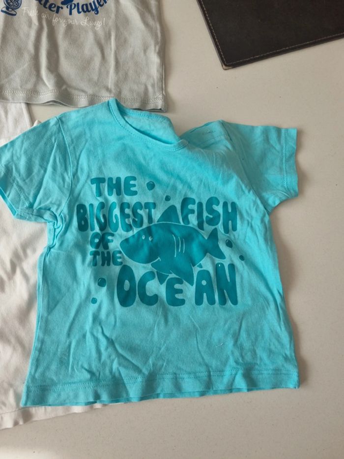 Lot tee-shirts 9 mois - photo numéro 4