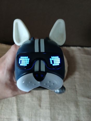Chien robot bouledogue