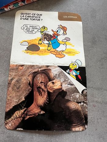 Vintage rare 1985 fiche éducative  tortue Disney Donald