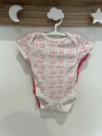 Lot de 6 bodies été