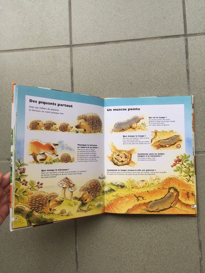 livre questions réponses sur les animaux - photo numéro 3