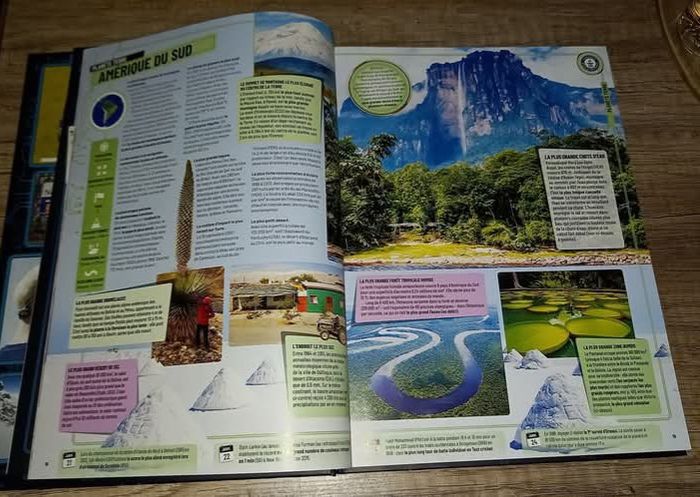 Guinness World records 2020 
Hachette - photo numéro 3