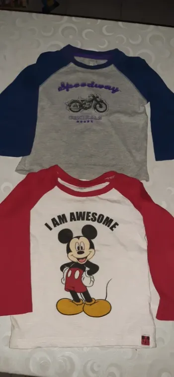 Lot de 2 tee shirts manches longues 24-36 mois