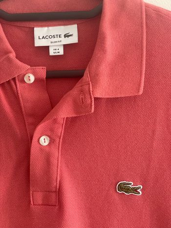 Polo Lacoste Corail