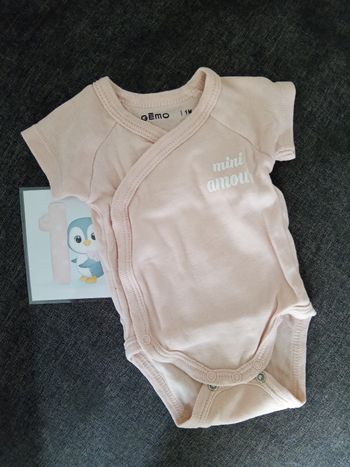 Bodie rose "mini amour" _ 1 mois