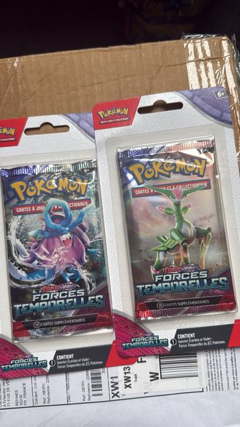 Artset Blister EV5 forces temporelles