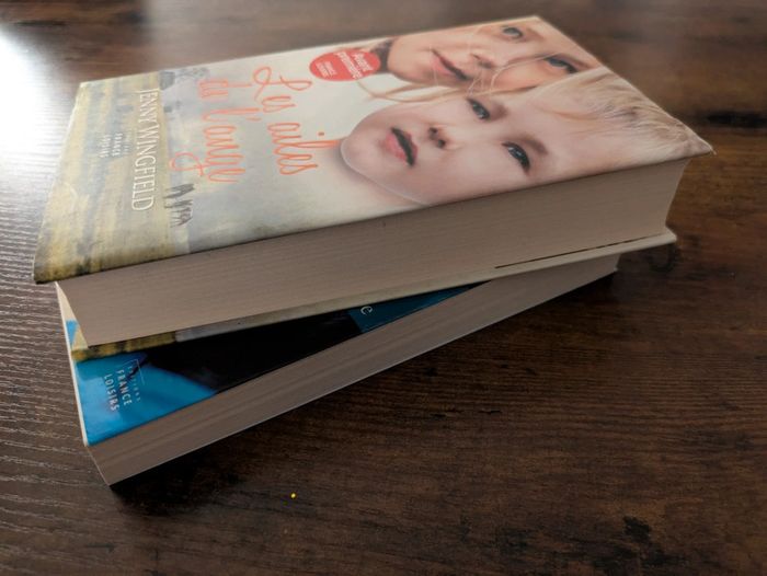 Au nom du père/ les ailes de l'ange - photo numéro 4