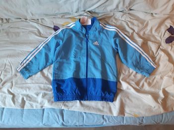 Veste Adidas