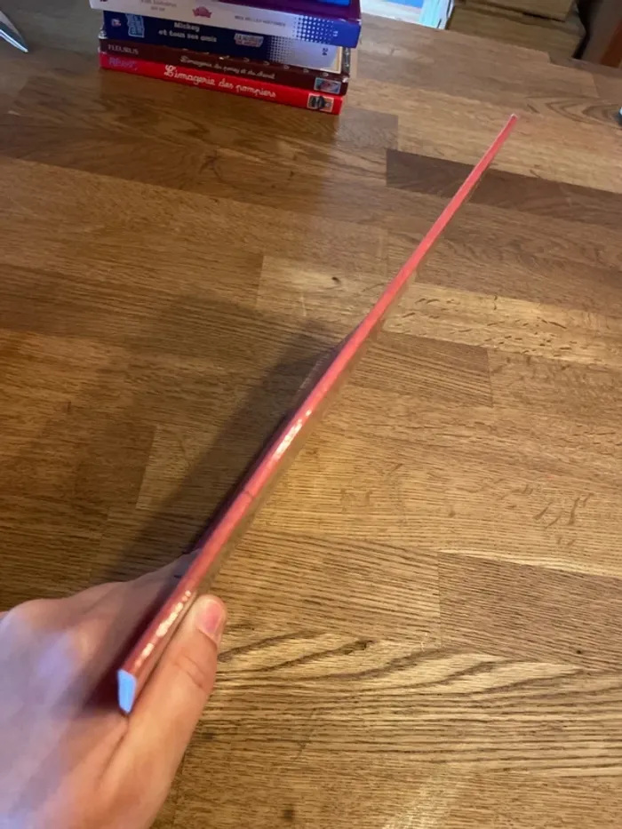 Livre L’école des Max Le secret - photo numéro 2