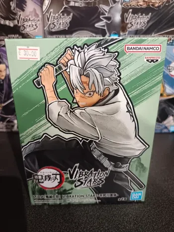Kimetsu no Yaiba Démon Slayer Vibration Stars Sameni