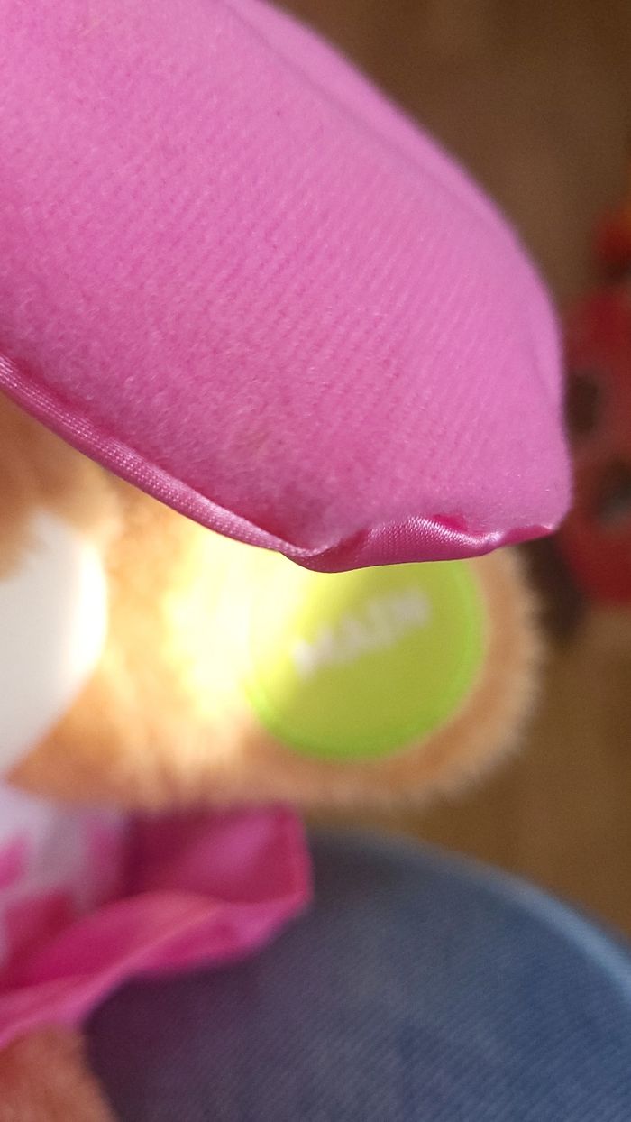 Puppy sis éveil progressif - photo numéro 8