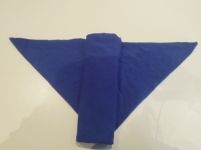 Couche plate + snappy - photo numéro 2