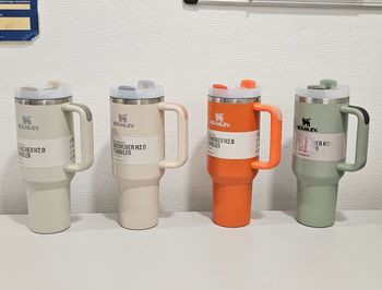 Lot de 2 Gourdes isotherme Stanley - coloris au choix 