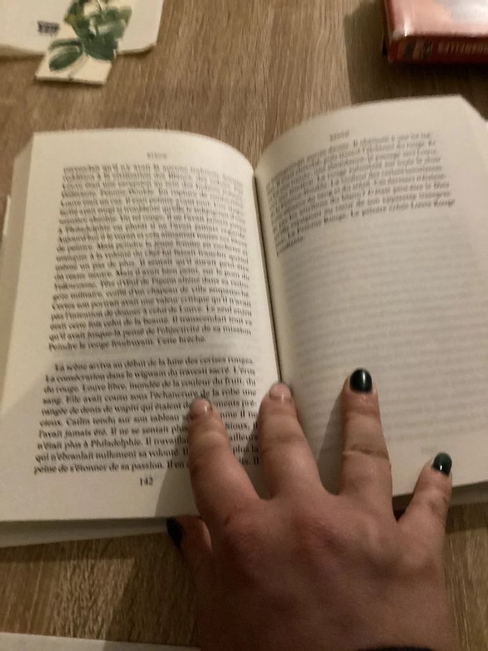 Roman « Bison » - photo numéro 3