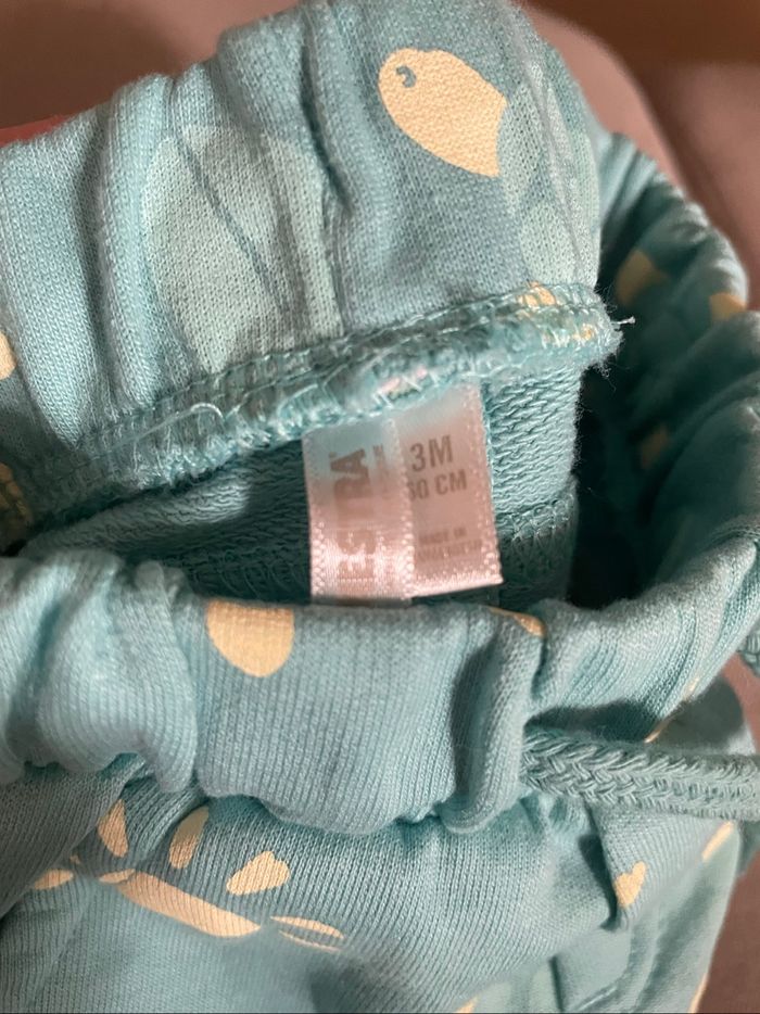 Shorts été bébé 3M - photo numéro 4