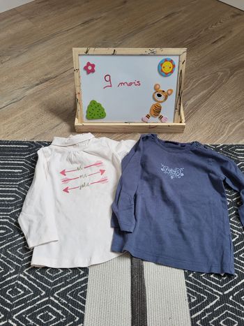 Lot de 2 tee shirts
