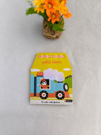 Livre Cache-cache petit train Nathan