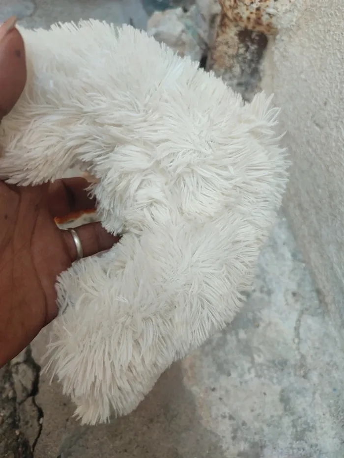 Peluche sans marque - photo numéro 7