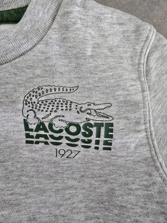 Sweat lacoste gris - photo numéro 3