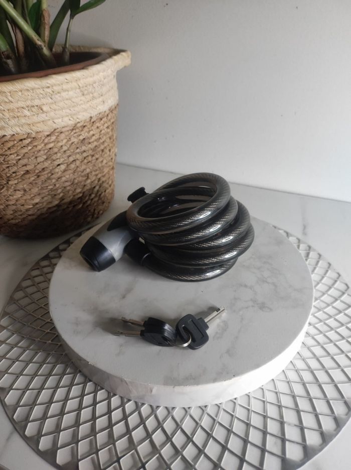 Antivol en spirale - photo numéro 2