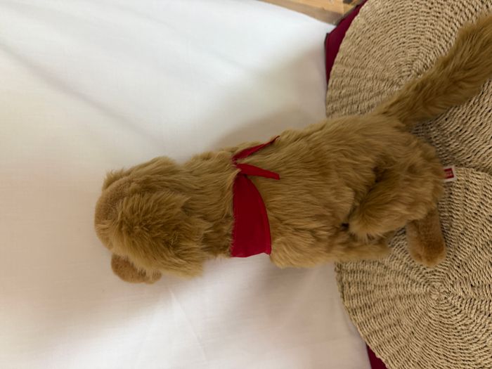 klement tekan golden retriever - chien en peluche - photo numéro 4