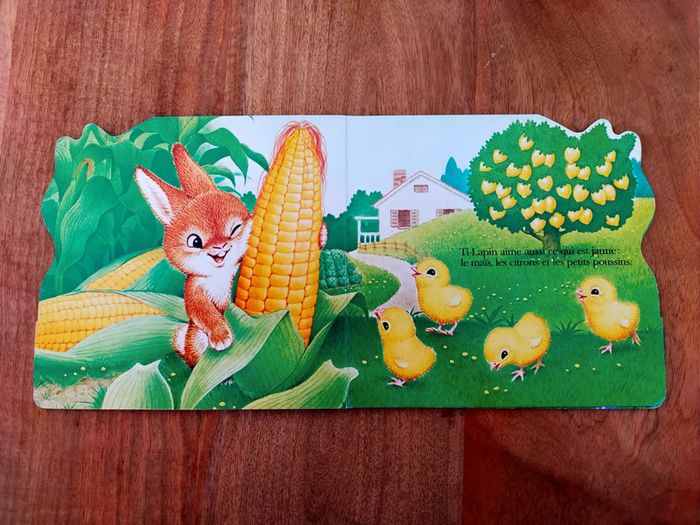 🐇Ti-Lapin et les couleurs 🌈 - photo numéro 3
