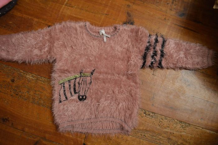 Pull poils Orchestra 2 ans