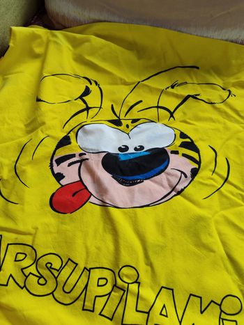 Taie d'oreiller vintage enfants 80/90