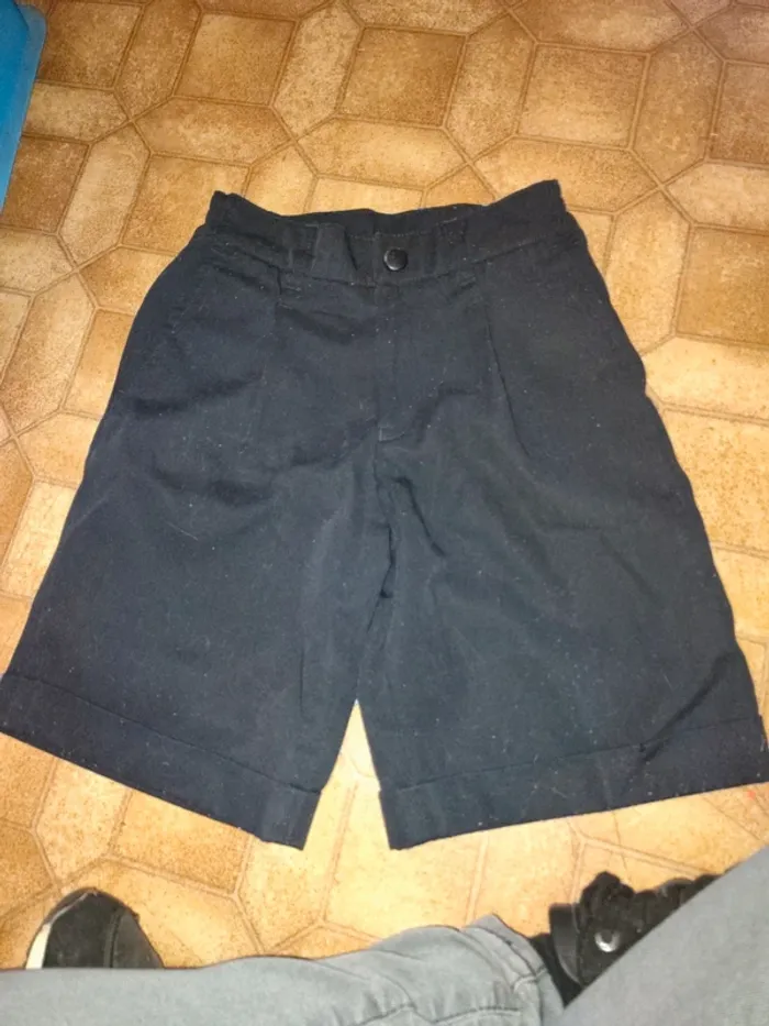 Short palomino 5 ans