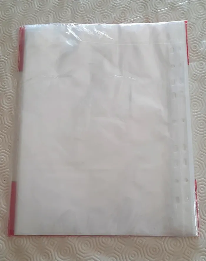 100 pochettes transparente A4 - photo numéro 2