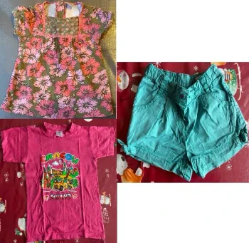 Lot été 5 ans: 2 hauts et 1 short