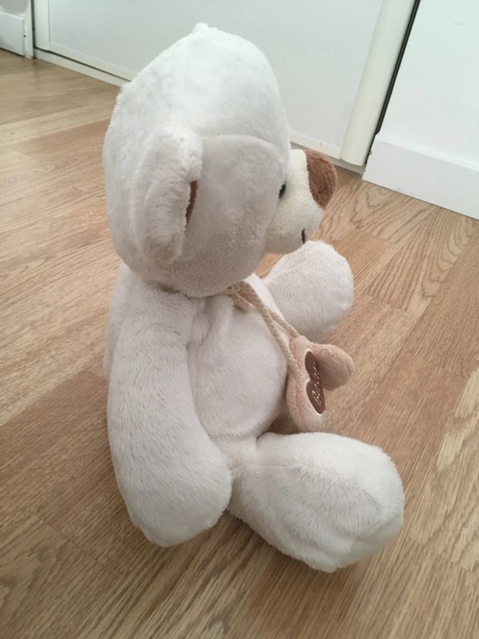 Ours en peluche - photo numéro 4